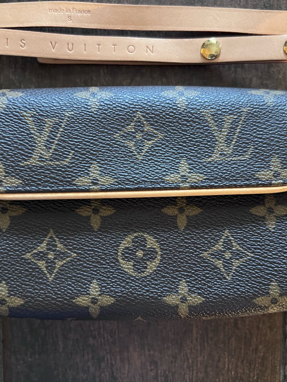 Louis Vuitton Monogram Canvas Florentine Belt Bag - Picture 2 of 15